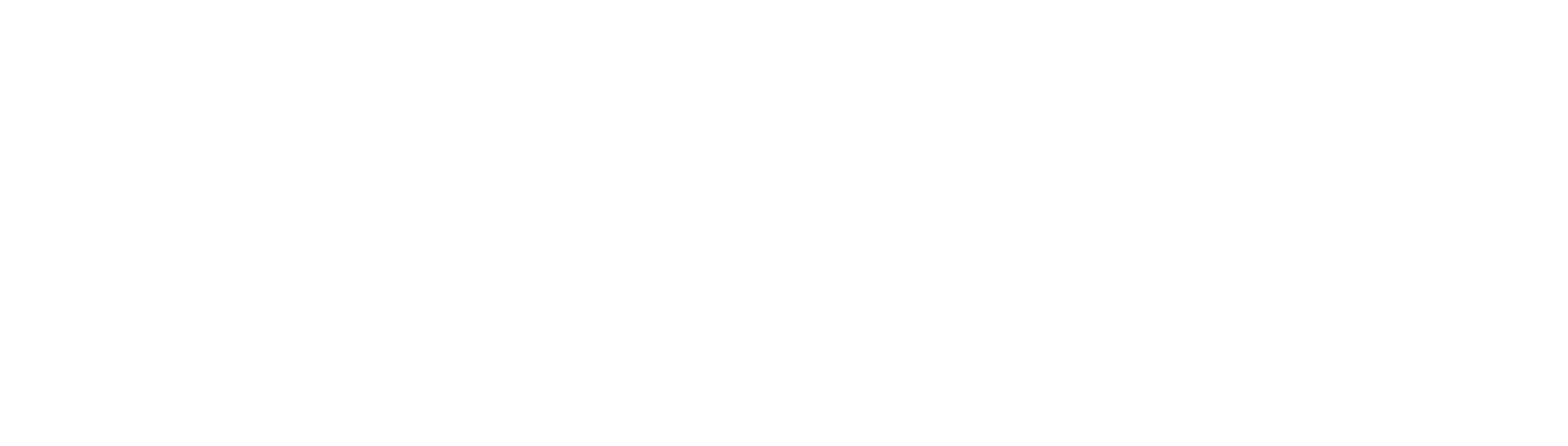 PL Media_Logo_Blanco[23]